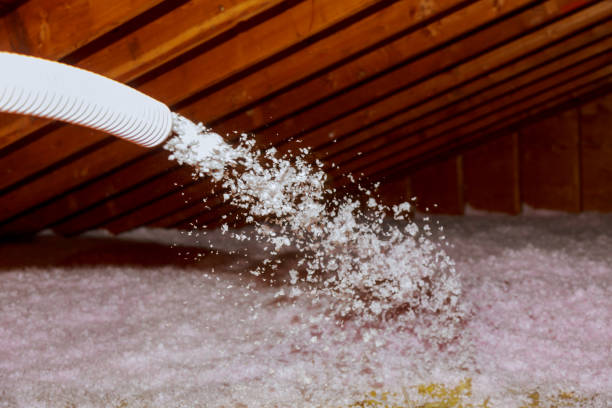 Best Wall Insulation Contractor  in St Joseph, IL