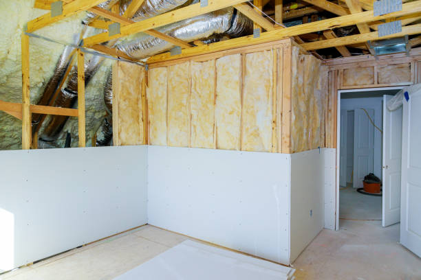 Best Attic Insulation Installation  in St Joseph, IL