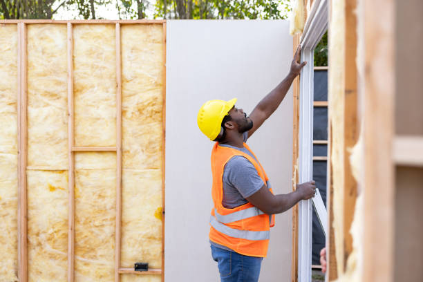 Best Insulation for New Construction  in St Joseph, IL