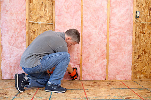 Best Residential Insulation Services  in St Joseph, IL