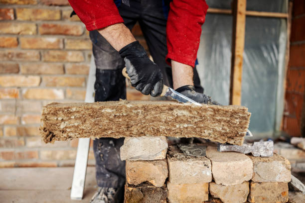 Best Home Insulation Services  in St Joseph, IL