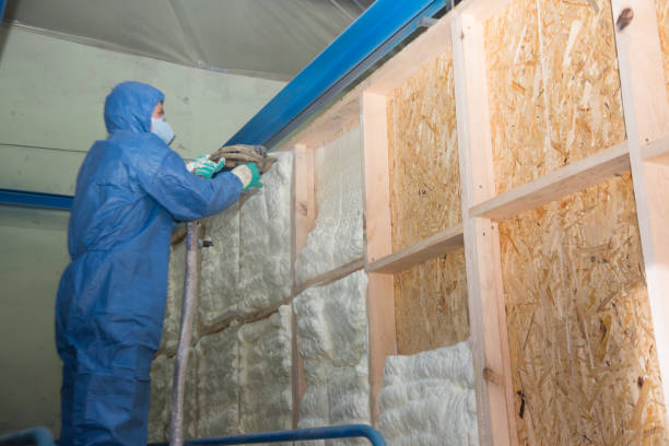 Best Insulation for Commercial Buildings  in St Joseph, IL